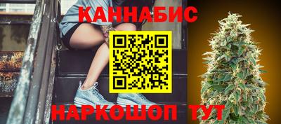 стафф Камышлов