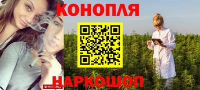 стафф Камышлов