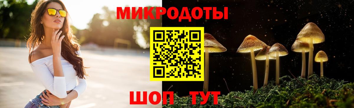 Галлюциногенные грибы MAGIC MUSHROOMS Георгиевск